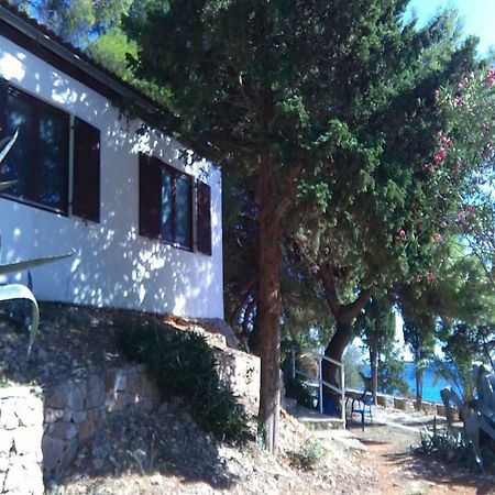 Tourist Resort Milna Vis Exterior photo